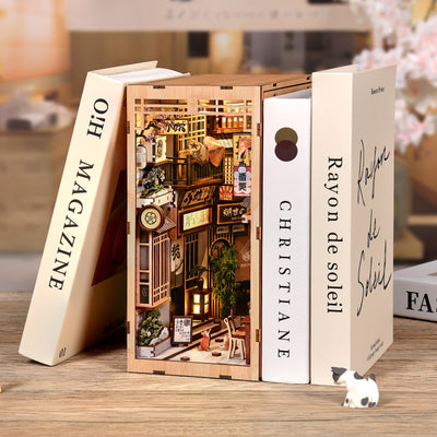 Book Nook - Waiting Alley Cat