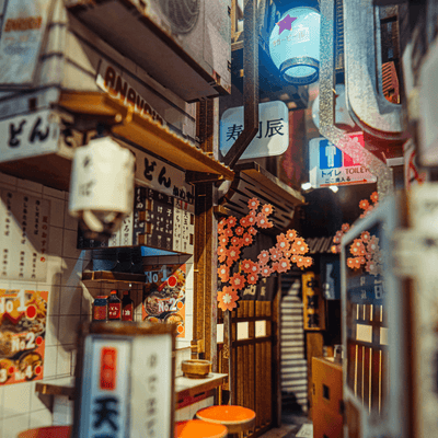 ANAVRIN Omoide Yokocho Book Nook Kit product image 5
